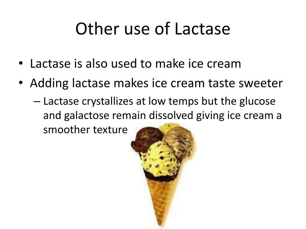 PPT Lactase The enzyme that would cry over spilt milk PowerPoint
