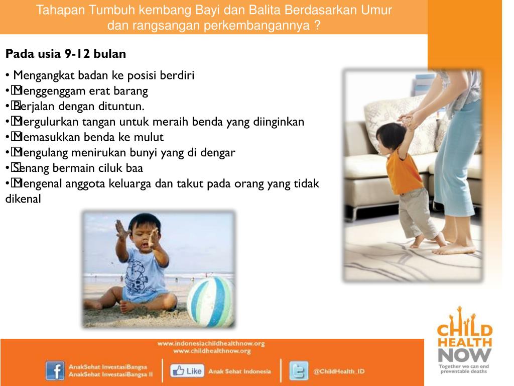 PPT Tumbuh Kembang Bayi  dan Balita PowerPoint 