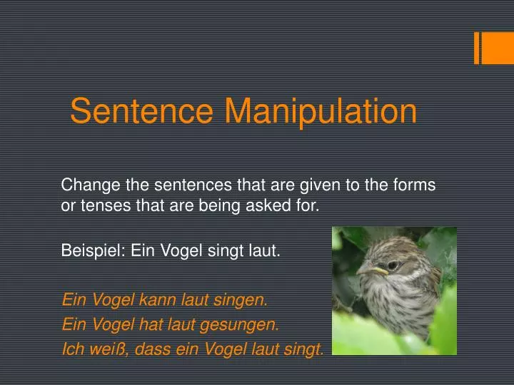 Sentence Manipulation N 