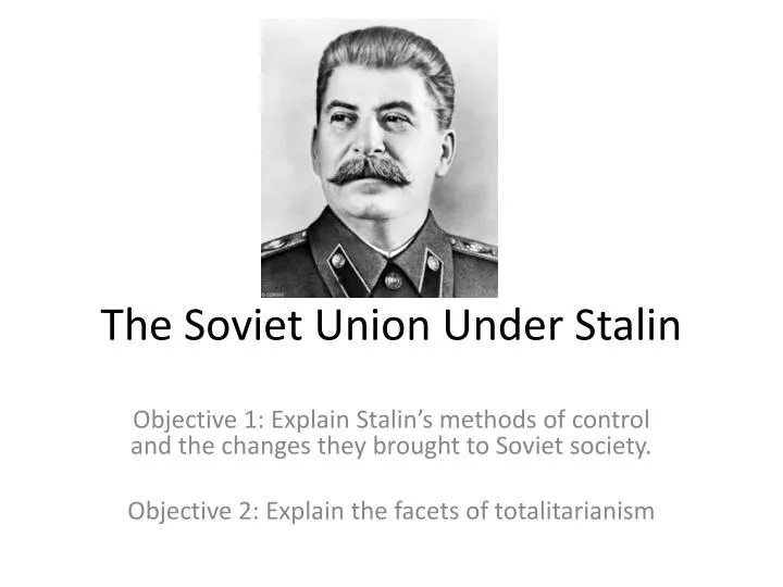 the soviet union under stalin n.