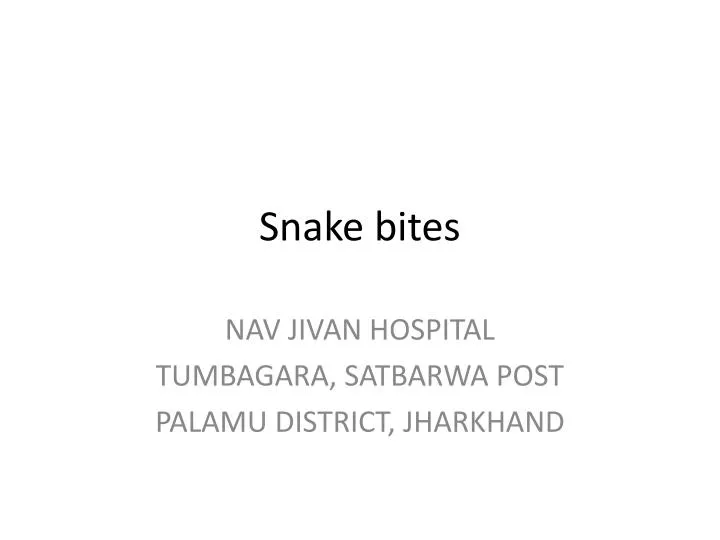 snake bites n.