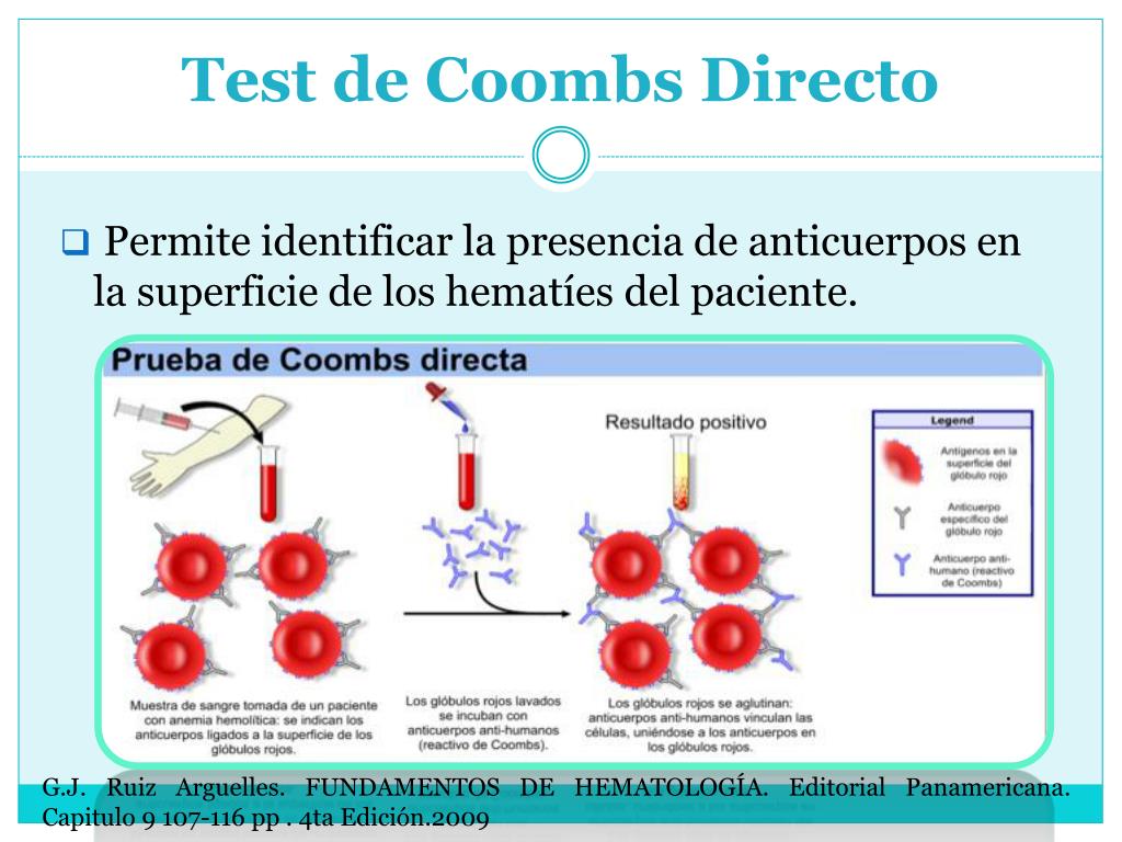Directo test de coombs