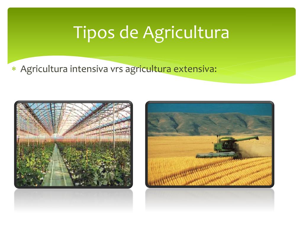 Diferença Entre Agricultura Intensiva E Extensiva - AskSchool
