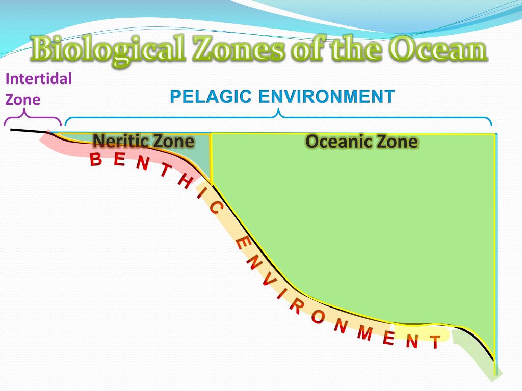 Zone definition