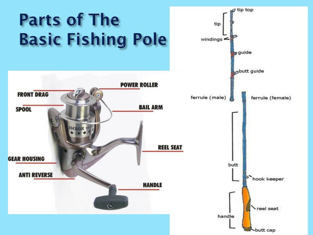 PPT - Sport Fishing Equipment and Supplies PowerPoint Presentation