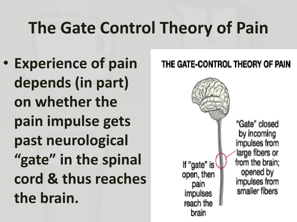 Gate Control Theory Of Pain For Kids