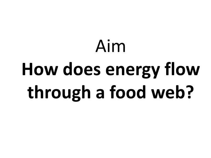 aim how does energy flow through a food web n.