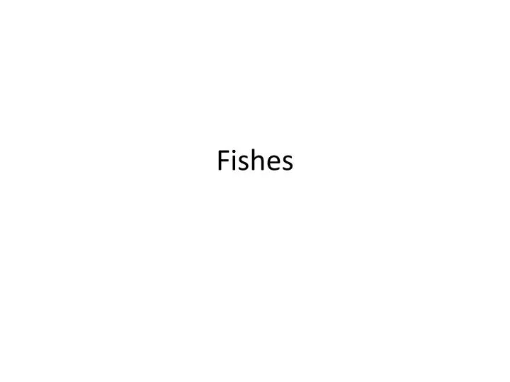 fishes n.