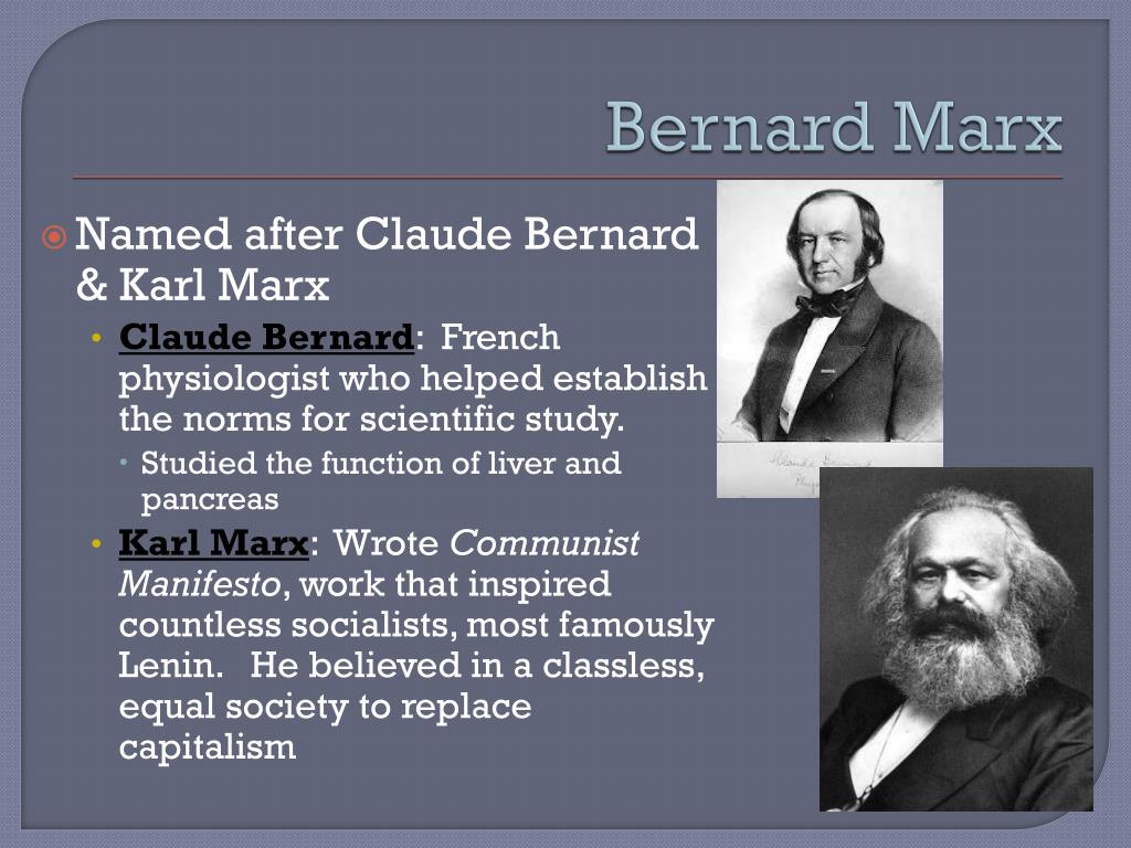 bernard marx brave new world bernard marx brave new world