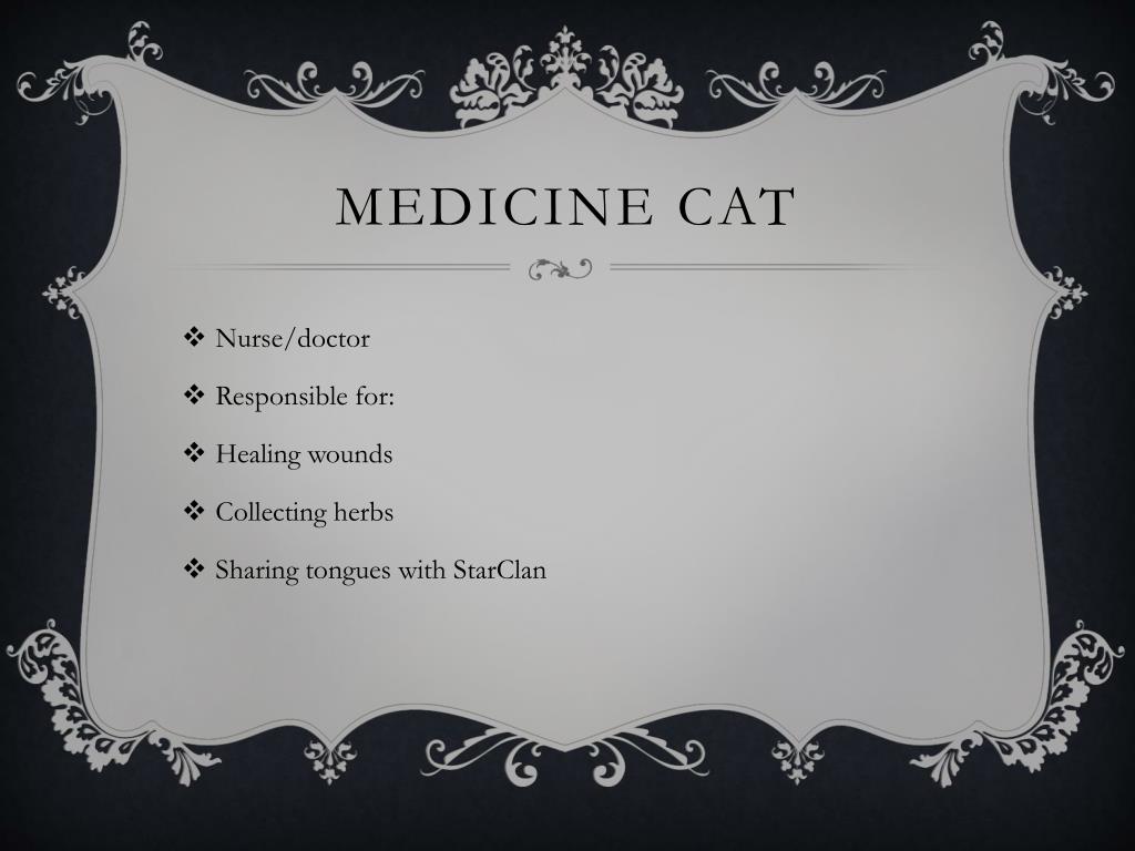 Medicine cat code - Warrior Cats