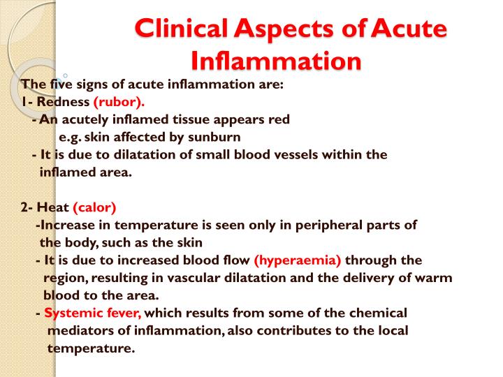 PPT  Acute Inflammation PowerPoint Presentation  ID2073232
