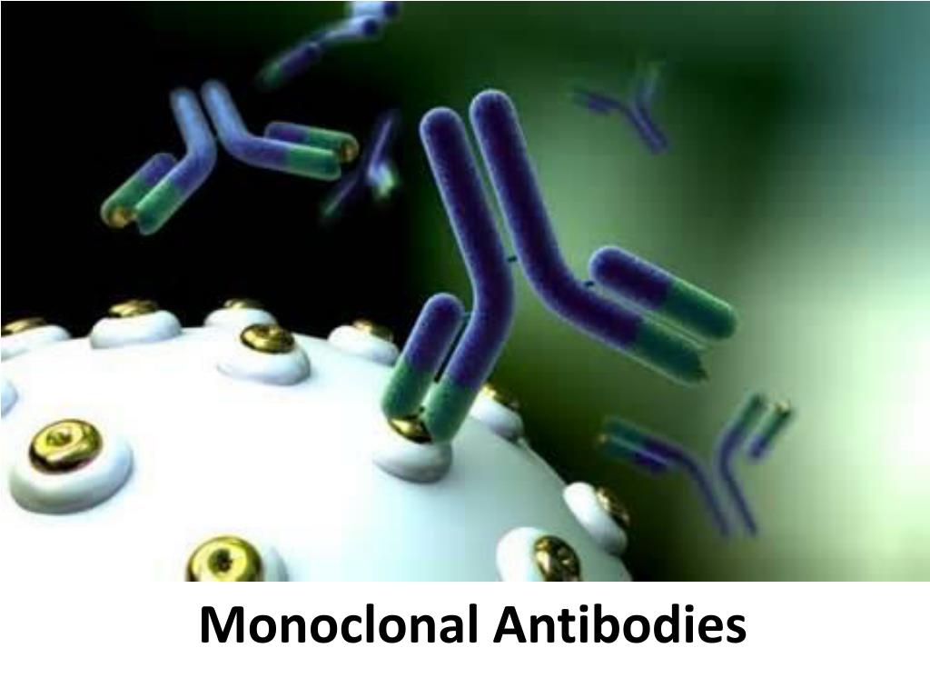 Ppt Monoclonal Antibodies Powerpoint Presentation Free Download Id 2074584