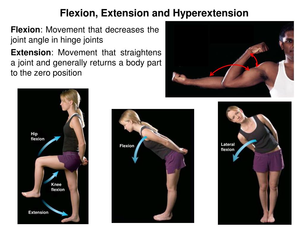 Me extension. Flexion Extension. Flexion спина muscle. Hyperextension в анатомии человека. Hip flexion.