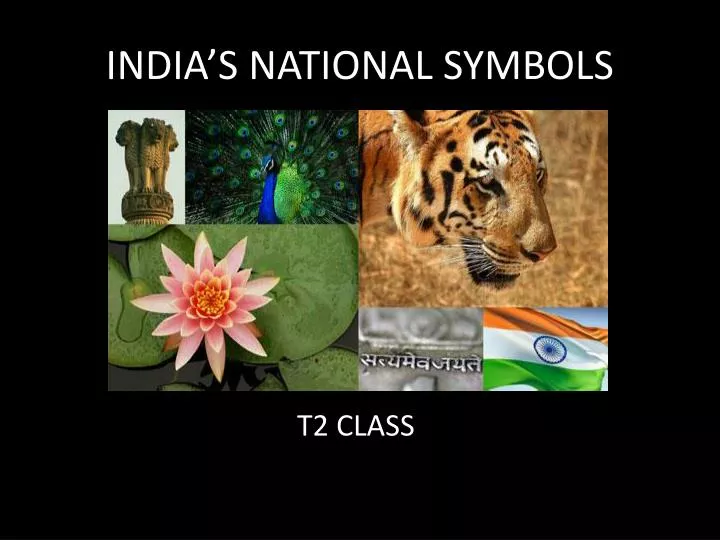 PPT - INDIA'S NATIONAL SYMBOLS PowerPoint Presentation, free download - ID:2074801 PPT - INDIA'S NATIONAL SYMBOLS PowerPoint Presentation, free download - ID:2074801
