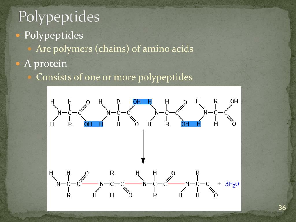 Полипептид с азотной кислотой дает окрашивание