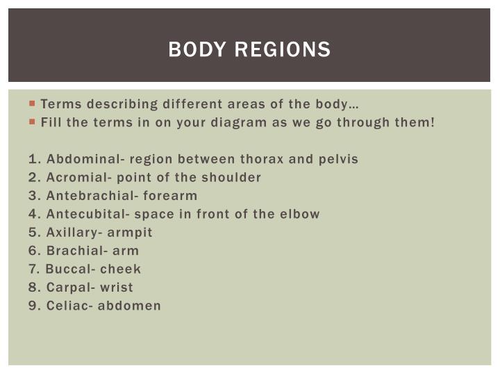PPT - Anatomical Terminology PowerPoint Presentation - ID:2075780