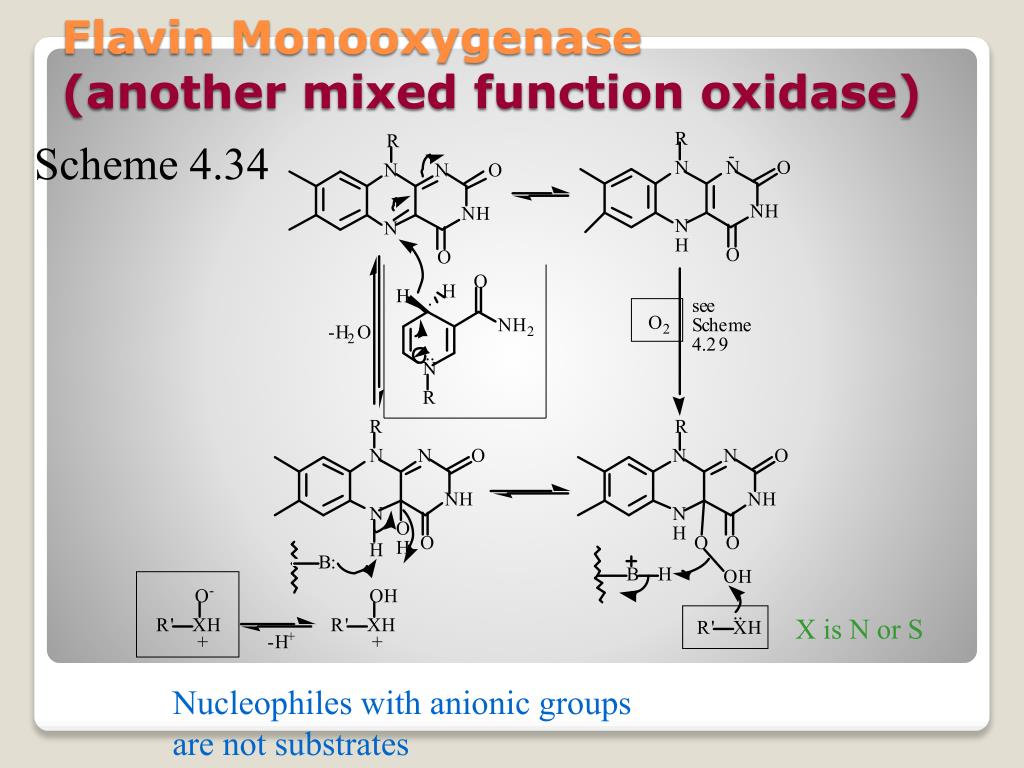 Mixed Function PPT - The Organic Chemistry of Drug Design and Drug Action PowerPoint ...