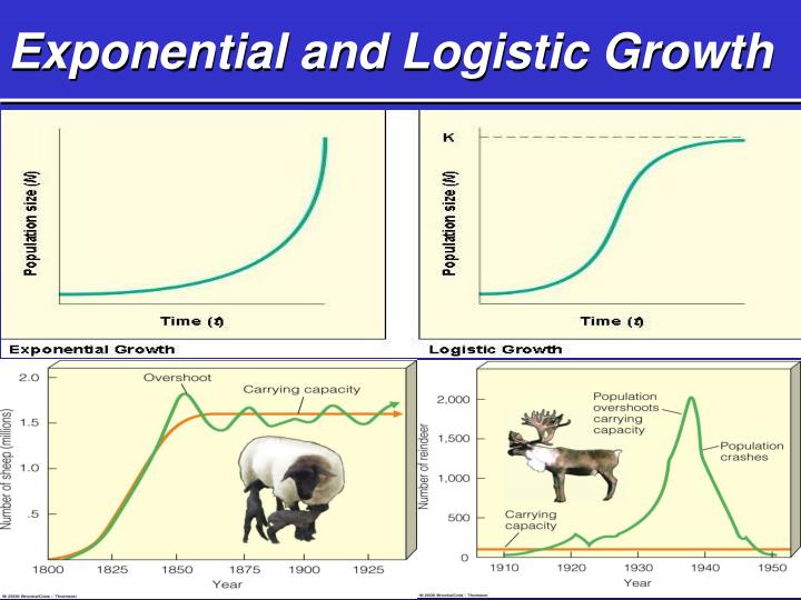 Biology Ppt Human Population Growth And Natural Resources Biology Ppt Human Population Growth And Natural Resources