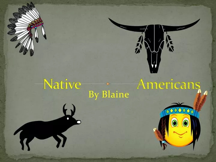 native a native americans n.