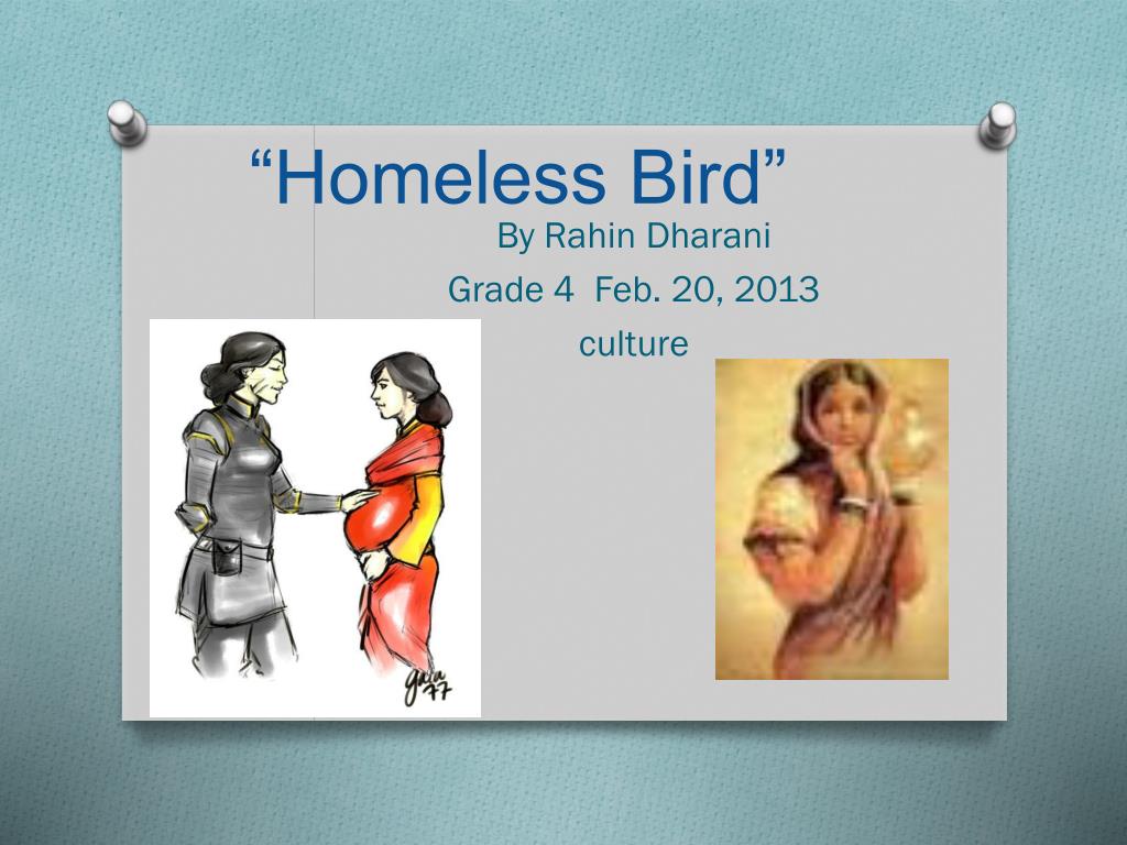 homeless bird author homeless bird author