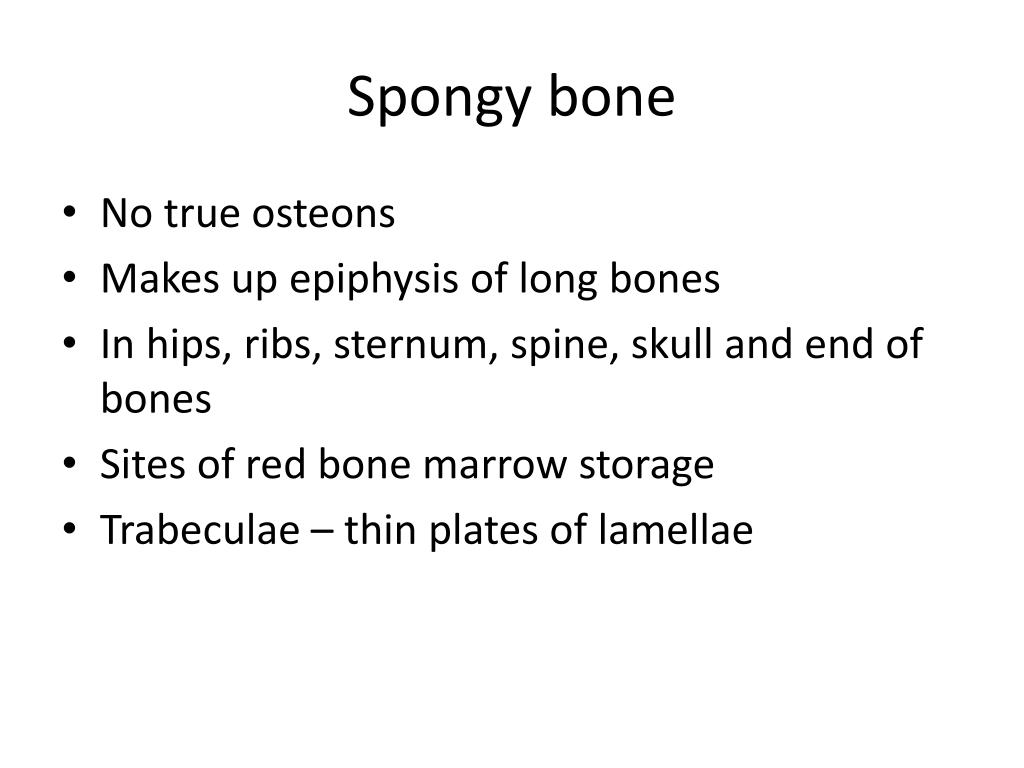 PPT - Types and Histology of Bones PowerPoint Presentation, free
