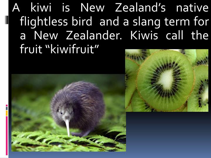 PPT Interesting Facts about New Zealand PowerPoint Presentation ID2079604