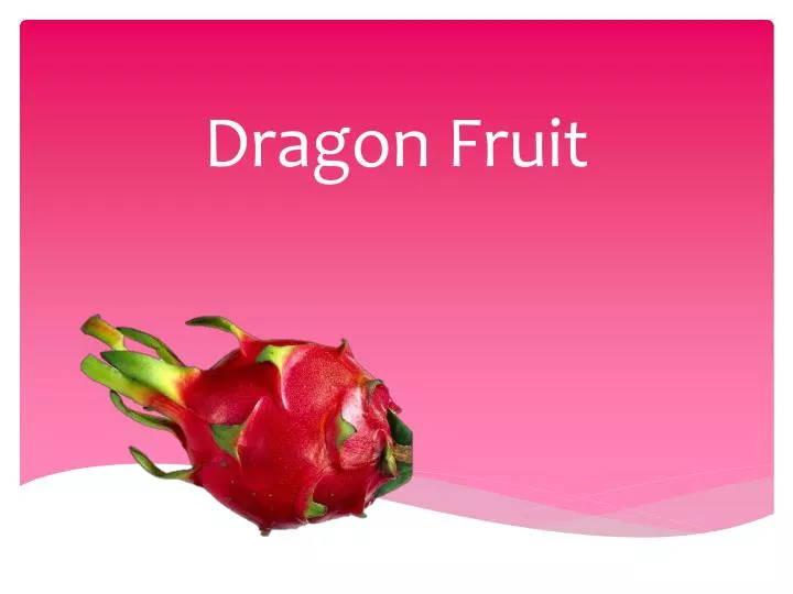 PPT Dragon Fruit PowerPoint Presentation Free Download ID 2079946