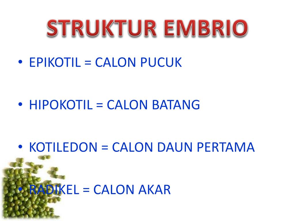 PPT TEKNOLOGI PRODUKSI BENIH PowerPoint Presentation PPT TEKNOLOGI PRODUKSI BENIH PowerPoint Presentation