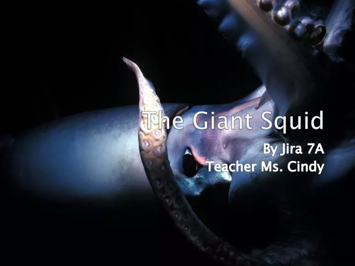 the giant squid n.