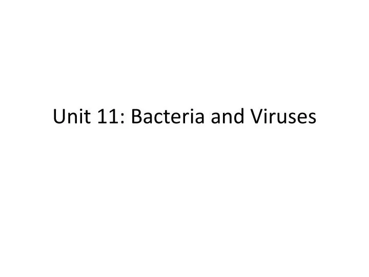 unit 11 bacteria and viruses n.