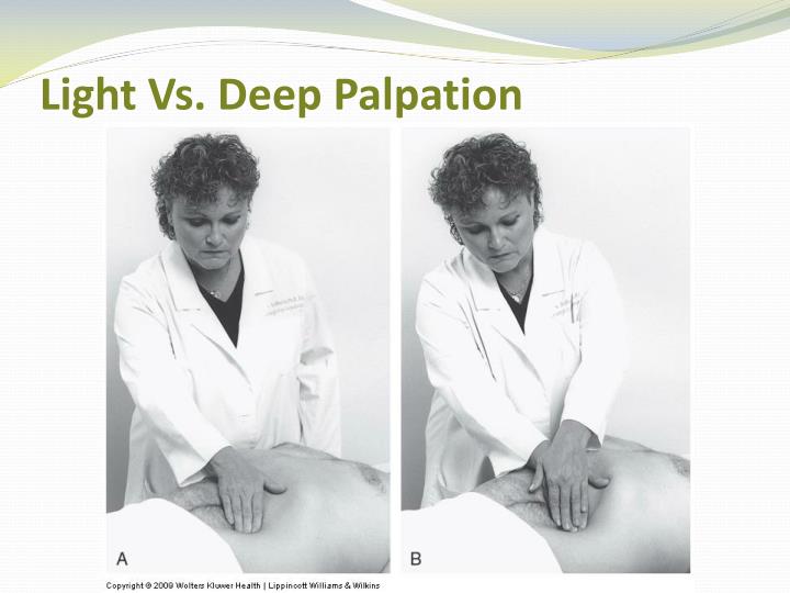 PPT Physical Assessment Skills PowerPoint Presentation ID2082155