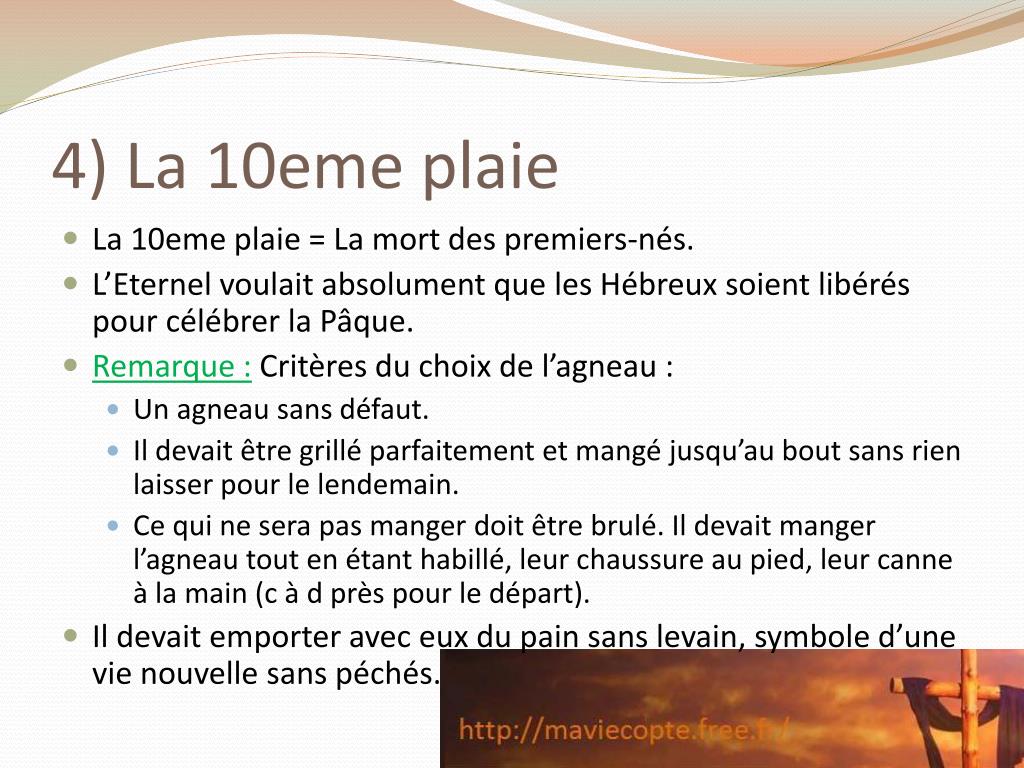 Quelles Sont Les 10 Plaies D Egypte