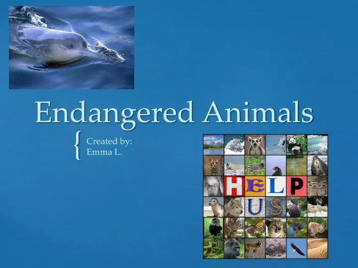 PPT - Endangered Animals PowerPoint Presentation, free download - ID ...