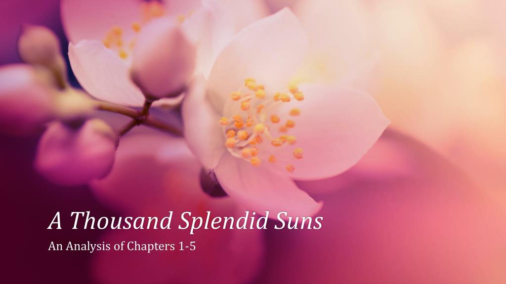 imagery in a thousand splendid suns