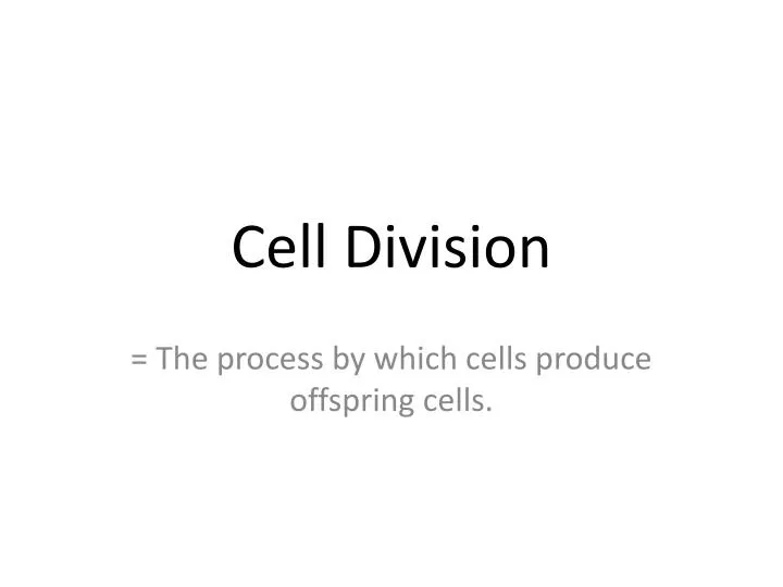 cell division n.