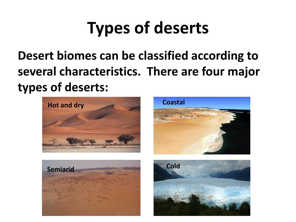 List desert. Types of Deserts. Types of Biomes. Пустынный биом на английский. Types of desertification UNEP.