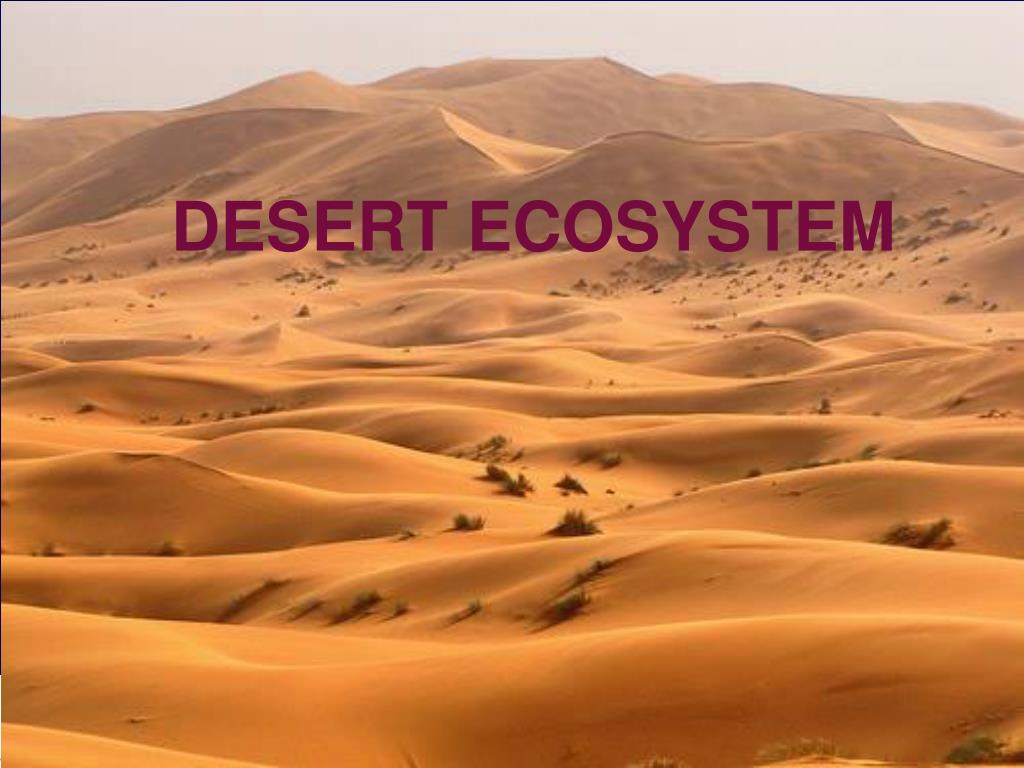 presentation on the desert