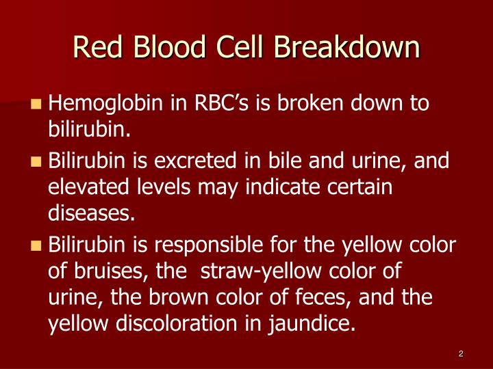 PPT Blood physiology PowerPoint Presentation ID2084543