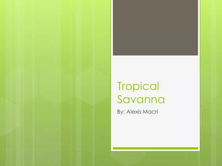 tropical savanna n.