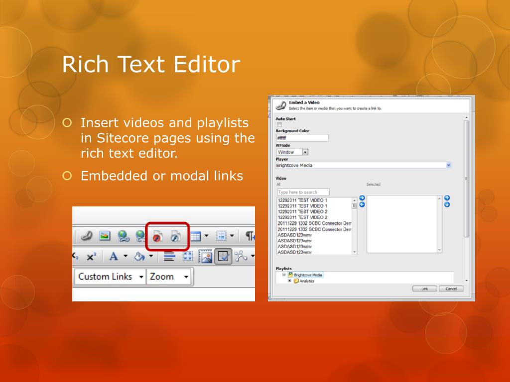 difference between rich text editor and plain text editor
