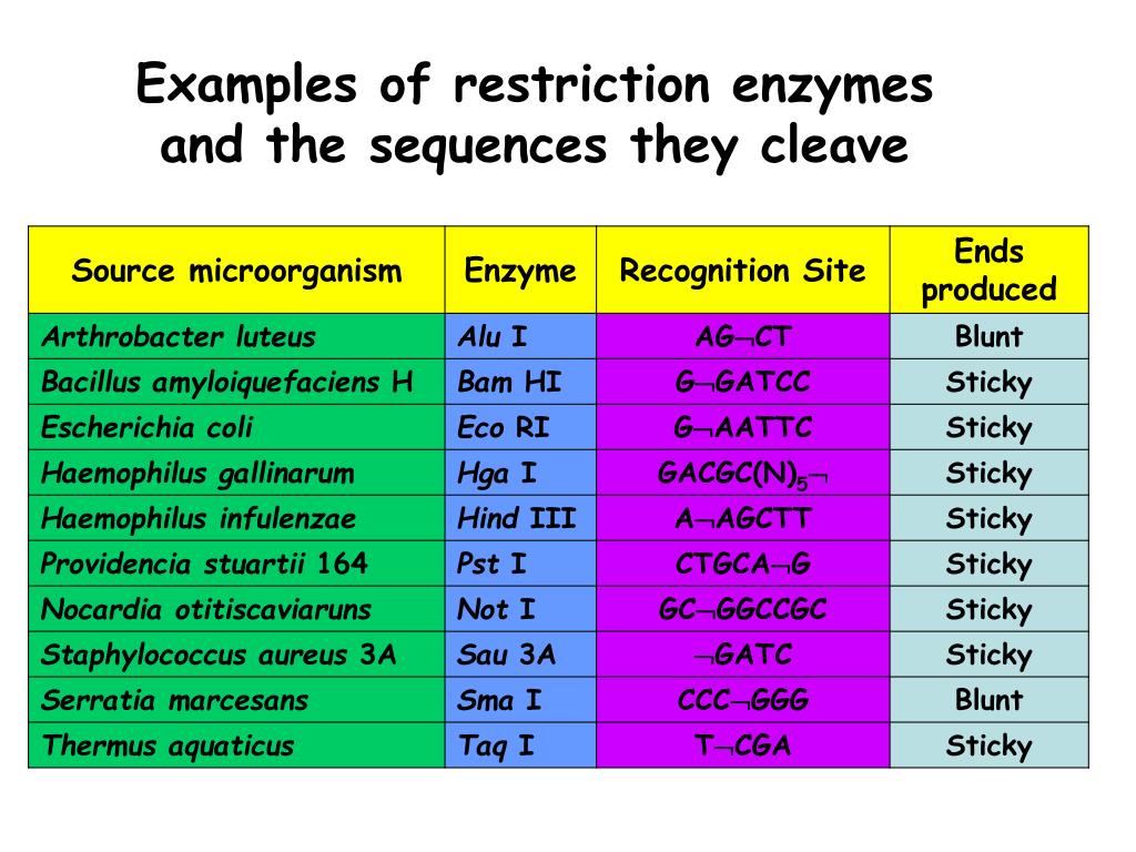 PPT - Enzymes in Genetics Engineering PowerPoint Presentation, free