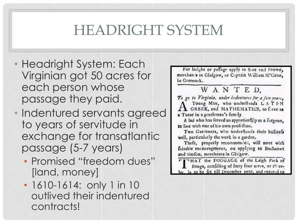 PPT Colonial Society in the 18 th Century PowerPoint Presentation