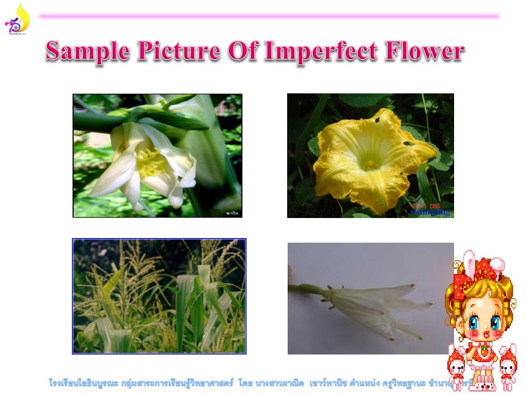 PPT PLANT REPRODUCTION PowerPoint Presentation, free download ID