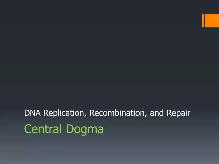 central dogma n.