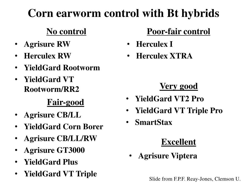 PPT - North Carolina Corn Insect Pest 2014 Update PowerPoint ...