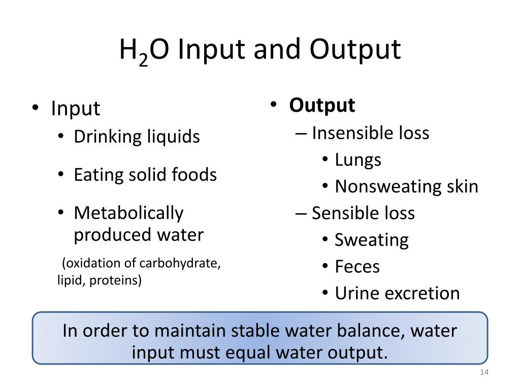 PPT - Body Fluids PowerPoint Presentation, free download - ID:2087885