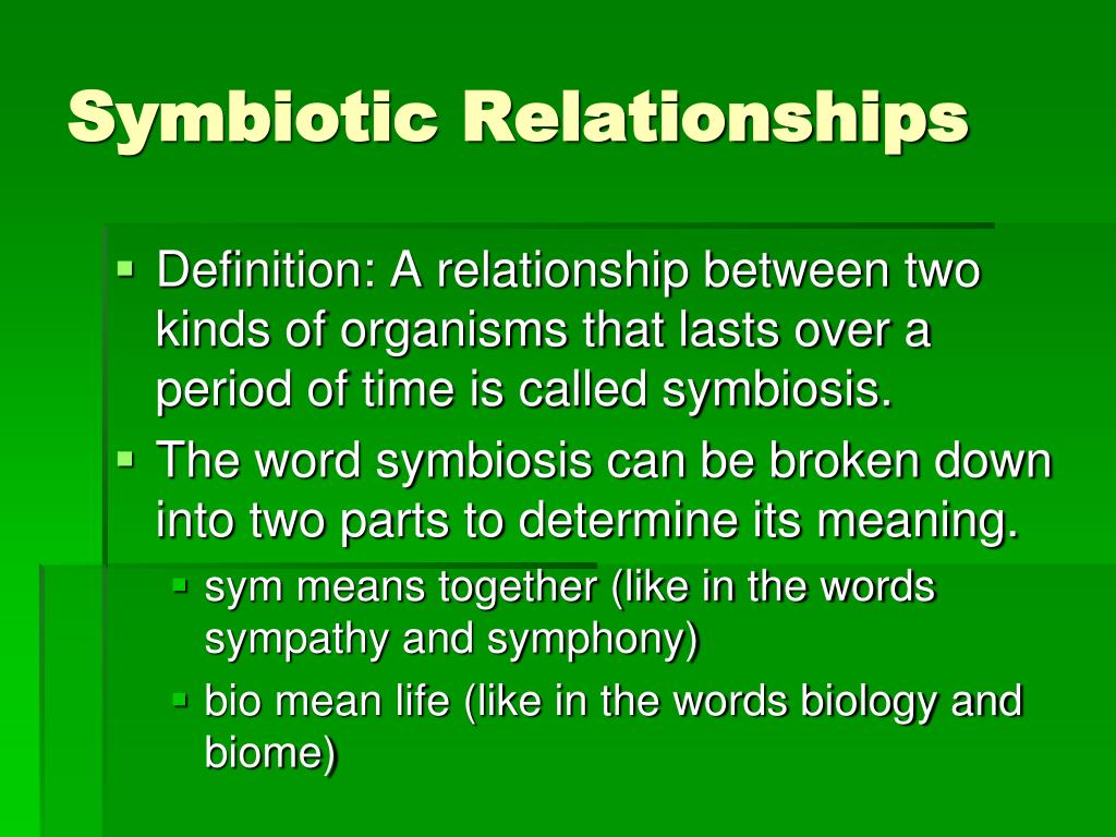 what is meant by symbiotic relationship