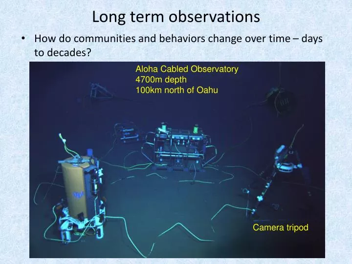 long term observations n.