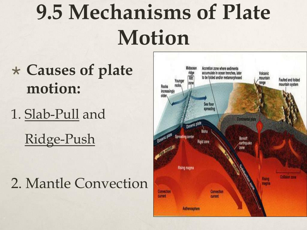 plate motion essay