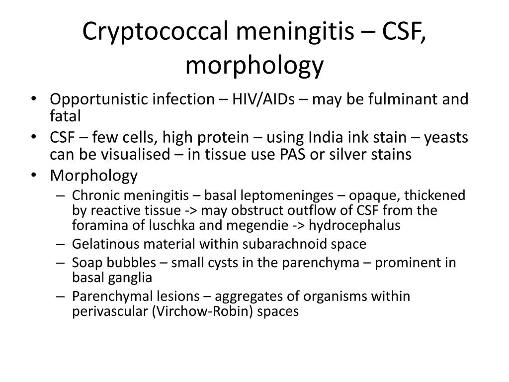 cryptococcal meningitis csf findings
